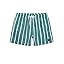 Men's Swim Trunks Quick Dry Elastic Drawstring Print Beach Shorts